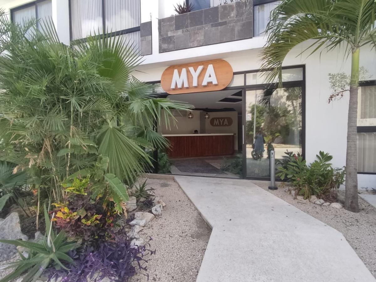 Nuevo Estudio Con Terraza Totalmente Equipado Tulum Aldea Zama Luaran gambar